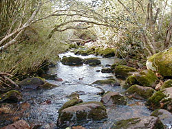 Pozos Azules