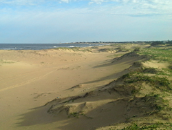 Arenas de Jos Ignacio