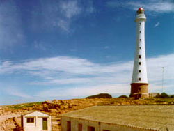 Isla de Lobos