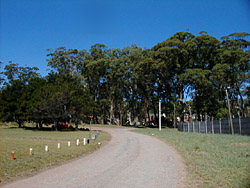 Pinares de Portezuelo