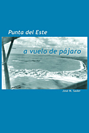 Punta del Este a vuelo de p�jaro