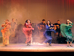Un Embrujo Flamenco en Punta del Este
