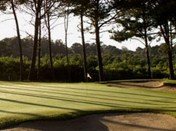 �ltimas Noticias Golf Tour en el Club del Lago Golf & Tenis