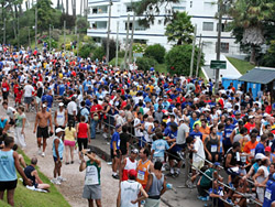 37� Corrida de San Fernando 