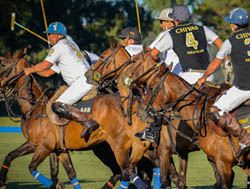 El equipo Chivas gan el primer torneo del Abierto de Polo de Punta del Este