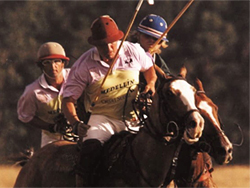 Finaliz� la temporada de polo