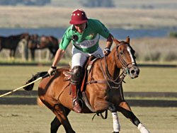 Finaliz� la temporada de polo