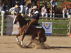 Rodeo y Rienda, hasta la luna llena