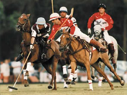 El jueves inicia la XXI temporada de Polo