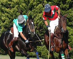 El polo vuelve a Punta del Este
