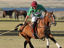 Lanzamiento de Punta del Este Polo Tour 2013