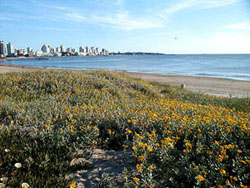 La princesa de Jap�n visitar� Punta del Este