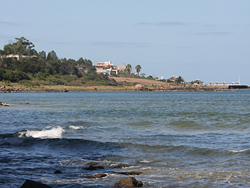 Semana de Punta del Este en M�xico
