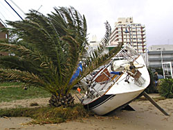 Maldonado se recupera del temporal