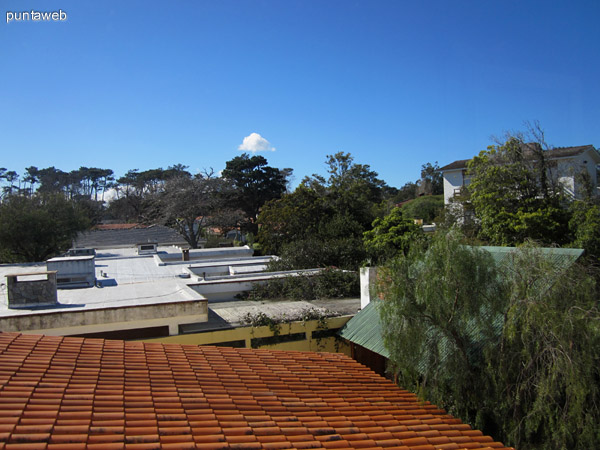 Vista hacia el noreste desde la ventana de la cocina.