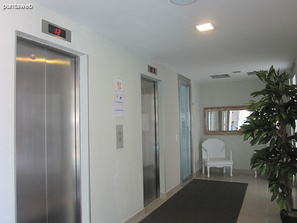 Detalle de reposeras sobre el lateral sur de la piscina climatizada.