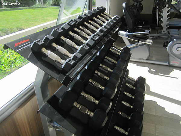 Gimnasio. Equipado con aparatos de ltima tecnologa, cintas, bicicleta fija, y sistemas de levantamiento de pesas.