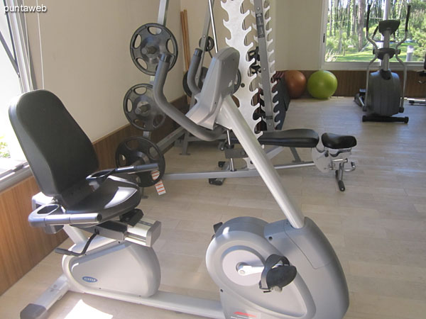 Detalle de juego de pesas en el gimnasio.