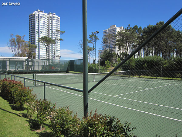 Detalle del jardn junto a la cancha de tenis de cemento.
