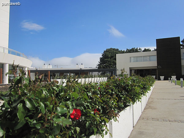 Detail conditioning with sun terrace alongside the pool outdoors.