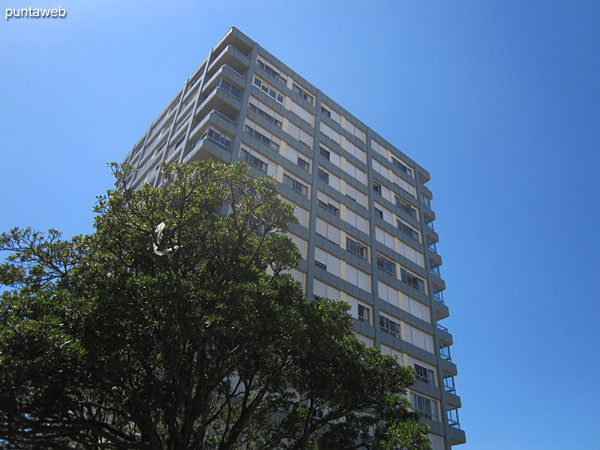 General view of the garden on the west side of the building.