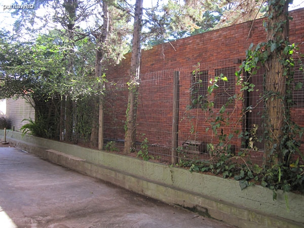 Second bedroom. Located on the left of access to the apartment. Conditioning with bunk bed, overlooking the courtyard provides circulation north side.