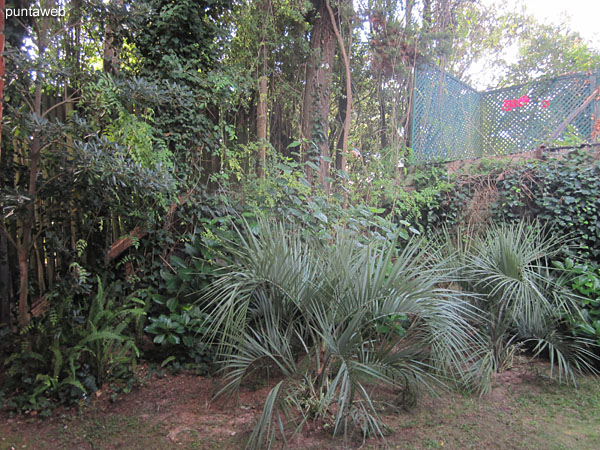 Main bedroom. Located facing the back of the building.<br>It provides view to the backyard of the building facing east.<br><br>Placard in large timber.