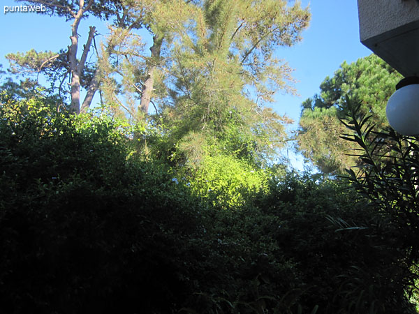 View to the south side from the window of the living room, natural environment.