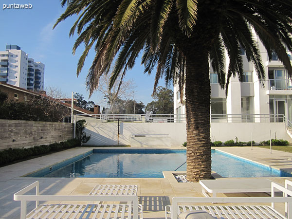 Outdoor pool. very sunny area located north side of the building and the property.