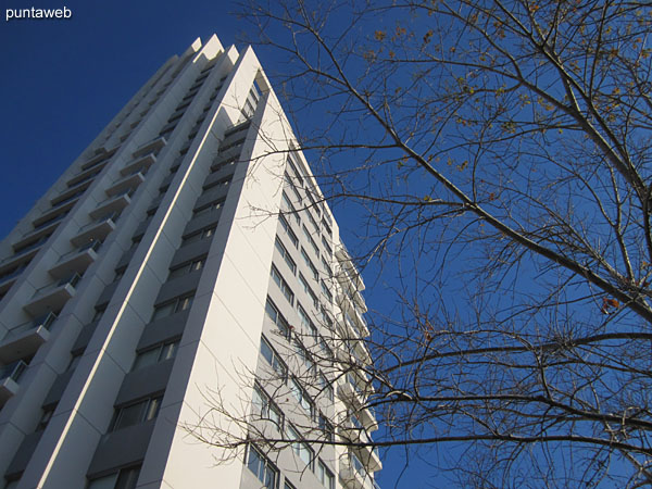 Outdoor pool. very sunny area located north side of the building and the property.