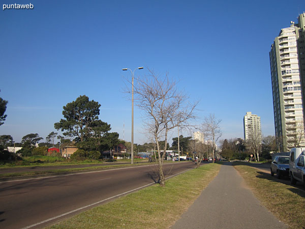 Summer Tower from Av. Roosevelt.