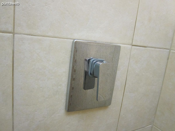 Ducha con monocomando y mampara de vidrio.