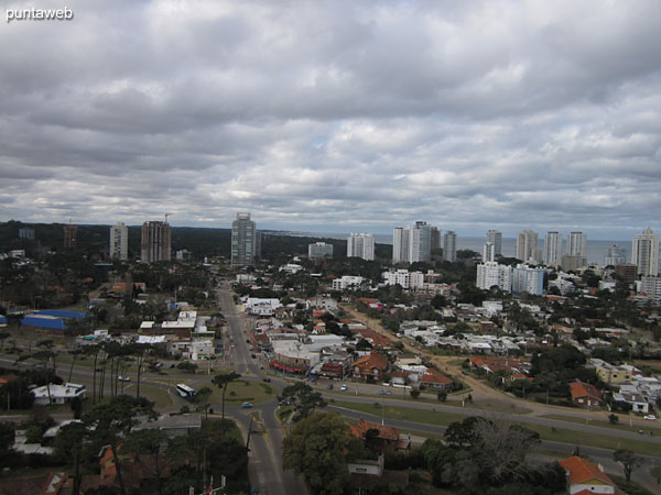 View from the terrace of the building.