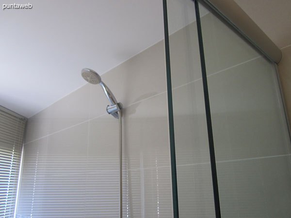 Detail of screen and shower in the master suite bathroom.