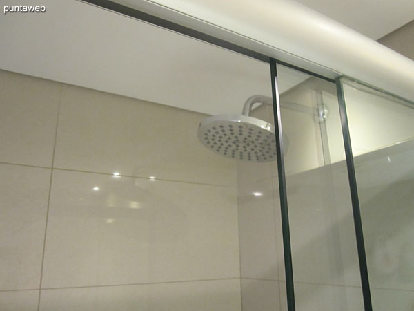 Detail of shower and screen in the bathroom of the master suite.