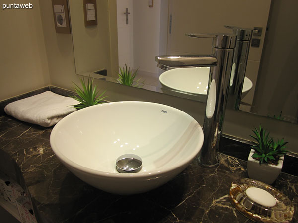 Detail of the taps and sanitary appliances in the toilette.