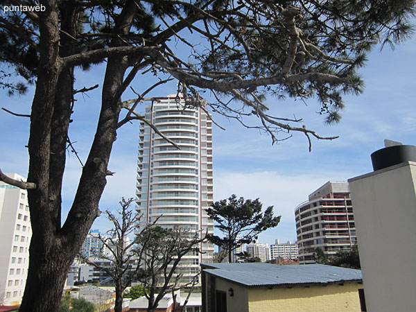 Vista hacia las piletas desde el parrillero al aire libre.