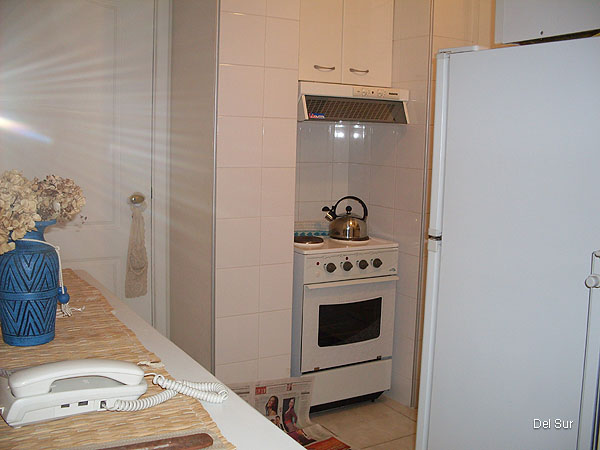Cocina del apartamento tipo kitchenette, completa, nueva.