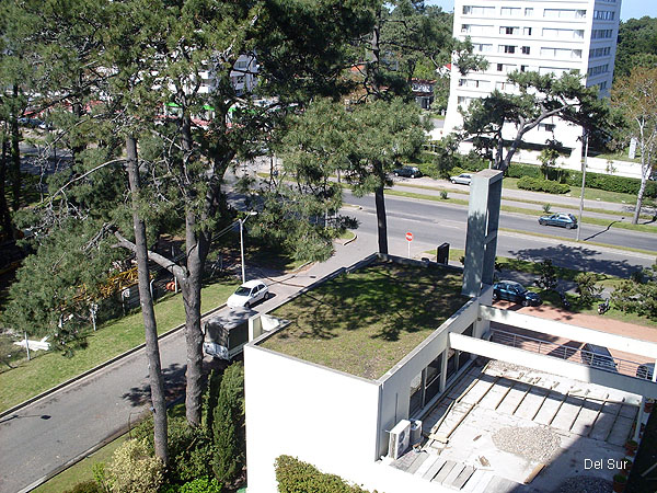 Apartamento orientado hacia la esquina de Avenida Roosevelt.