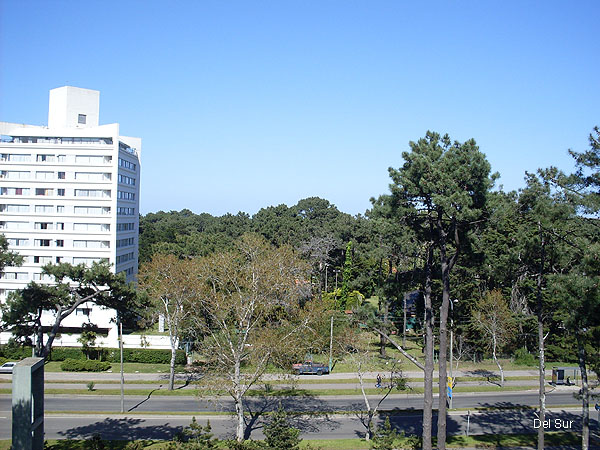 Vista al frente del apartamento, desde el living o el dormitorio.