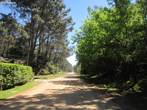 Calle de acceso al Parque Burnett vista desde la entrada hacia el oeste.