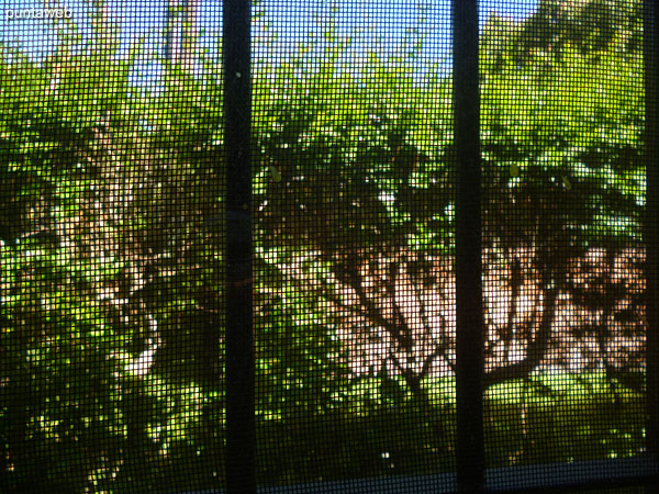 Tercer dormitorio. Situado al fondo de la casa sobre el lateral sur.<br><br>Est� acondicionado con cama cucheta con cama marinera y una cama individual, generando una capacidad total para cuatro personas.<br><br>Cuenta con amplio placar en madera y espacio tipo baulera en la pared norte.<br><br>La ventana ofrece vistas al jard�n trasero.