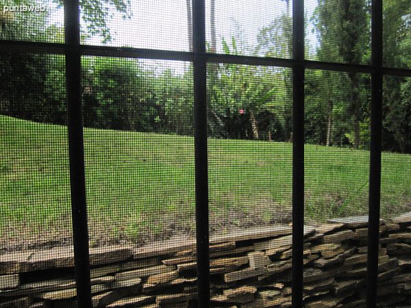 Jard�n trasero. Muy soleado y privado.