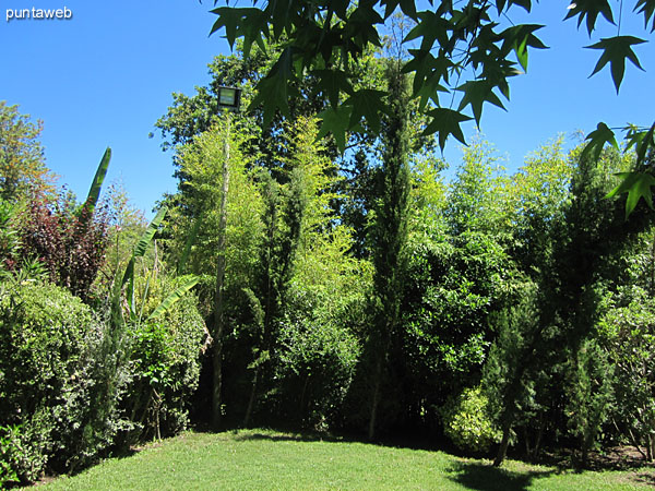 Vista desde la ventana del cuarto de servicio sobre el jard�n trasero de la casa.