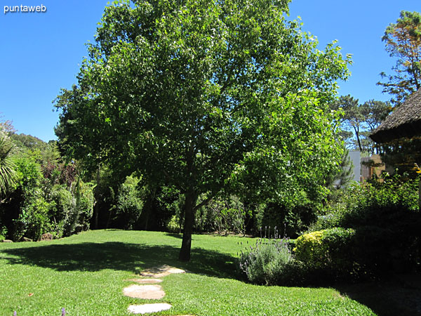 Acceso al cuarto de servicio de la casa visto desde �ste hacia la casa.