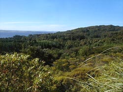 Las Cumbres y Chacras