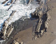 Uruguay establece su estrategia en materia de ecoturismo